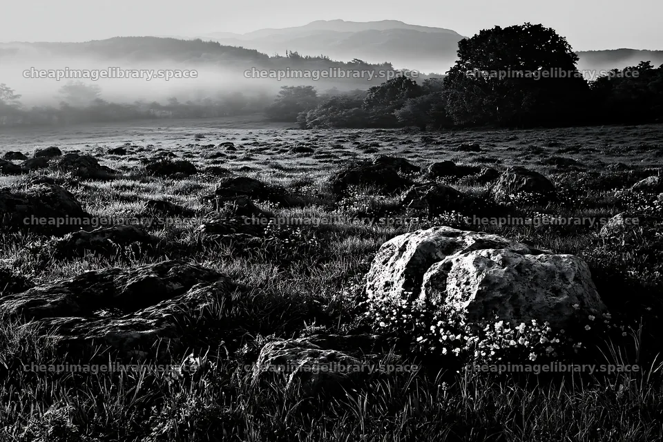 Yamaguchi limestone meadow with pale boulder in the morning light – image library 9722x6480