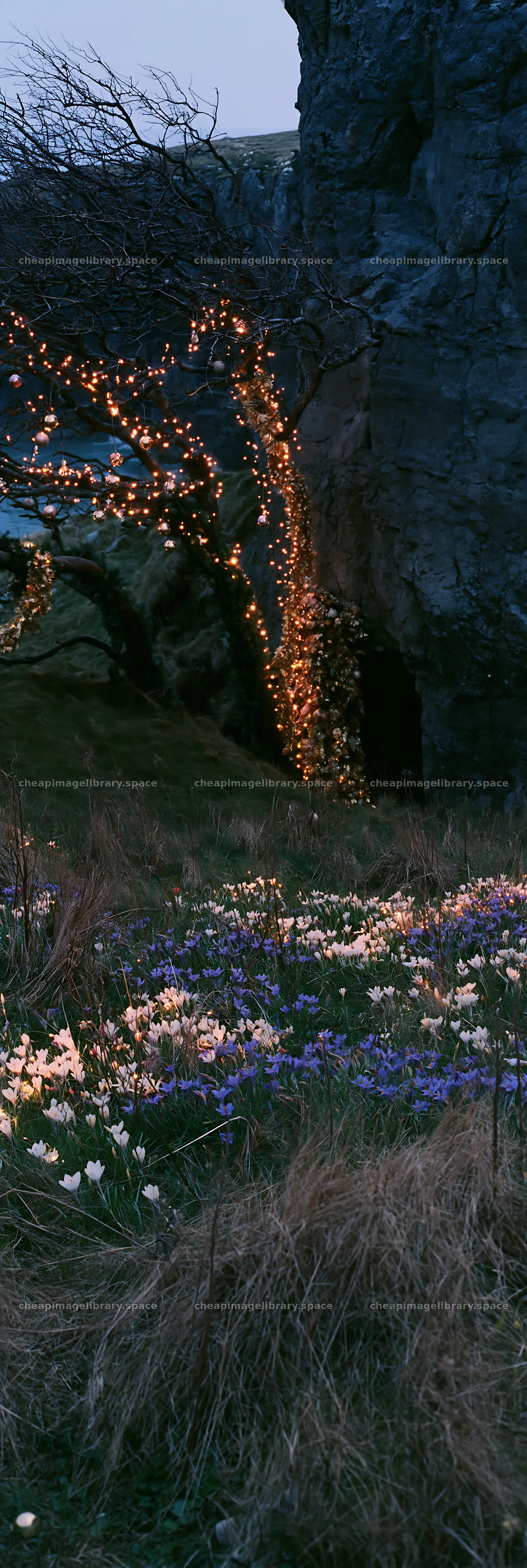 Christmas lights illuminate cave in meadow at dusk – image library 4602x13690