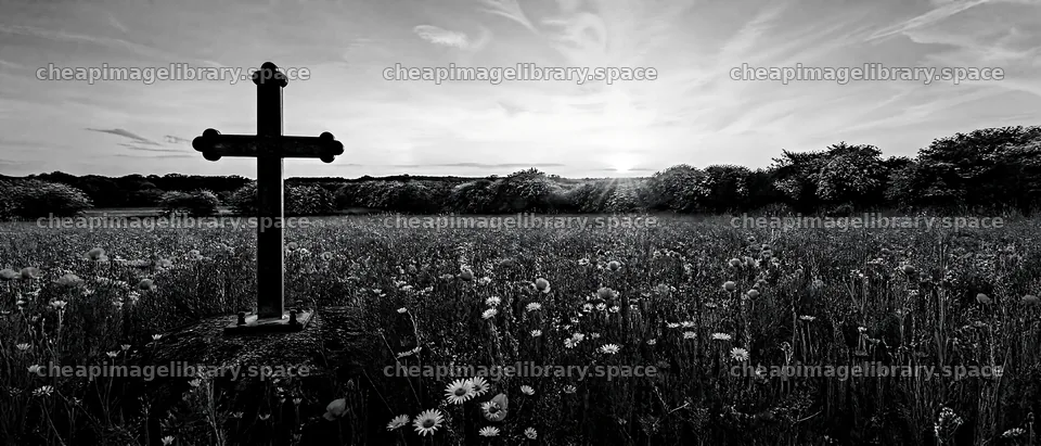 Rustic Christian cross in a spring meadow at sunset – image library 12124x5196