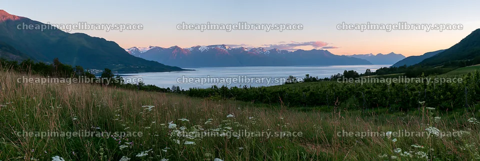 Fjord orchard meadow with mountains and water at sunset – image library 13690x4602