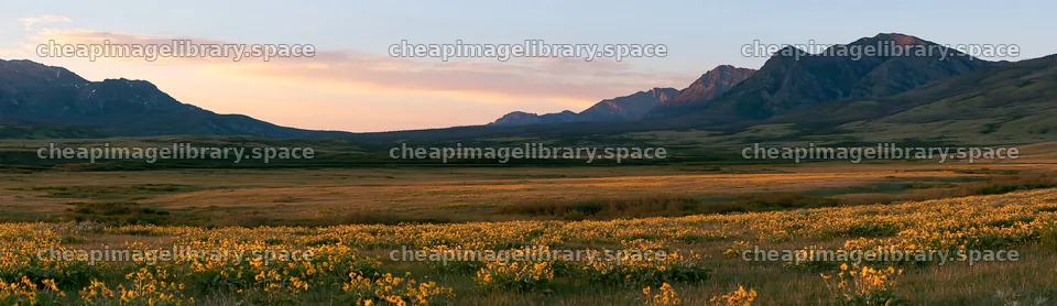 Meadow in a rolling valley during sunset – image library 14762x4268
