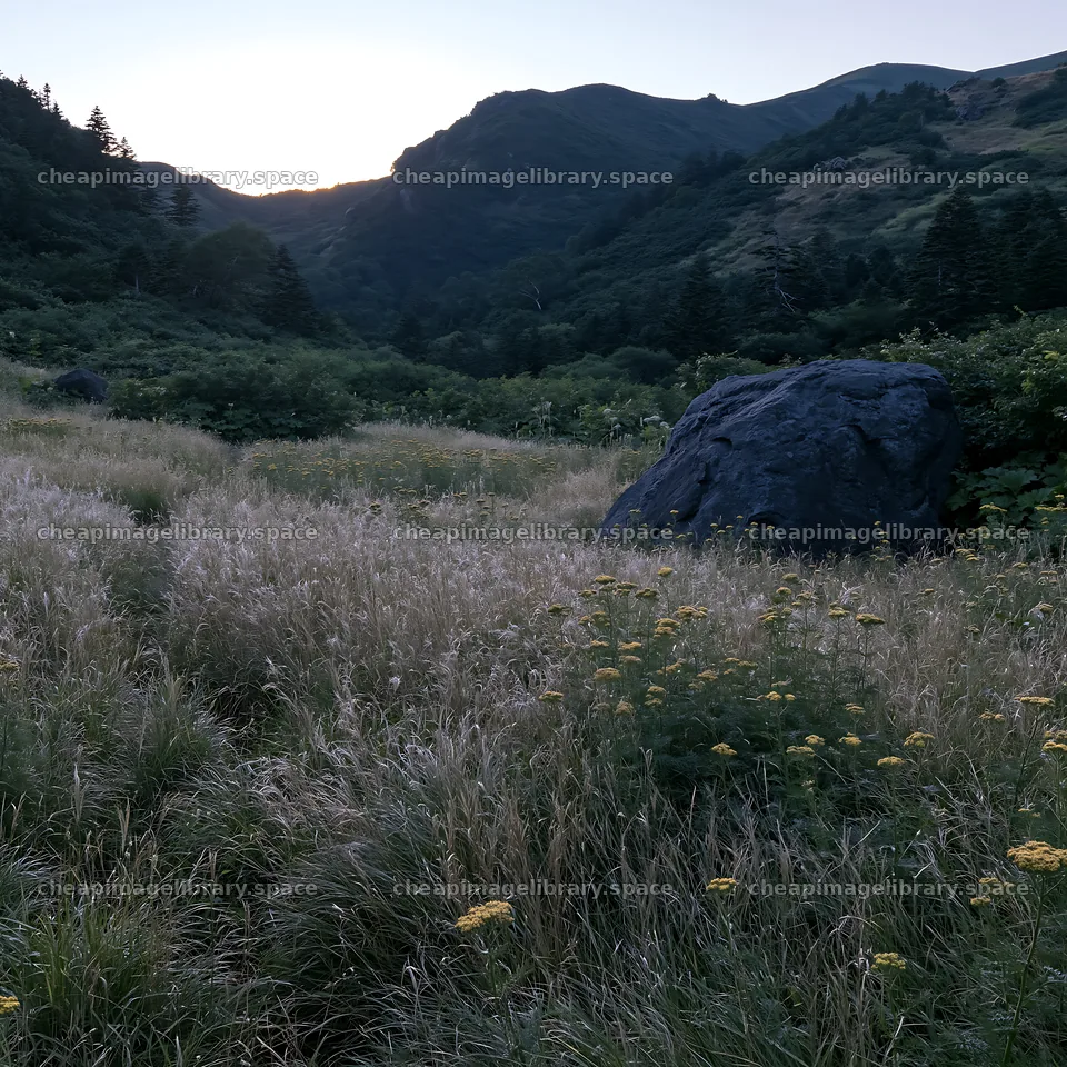 Aomori climate resilient meadow with boulder in early evening light – image library 7938x7938