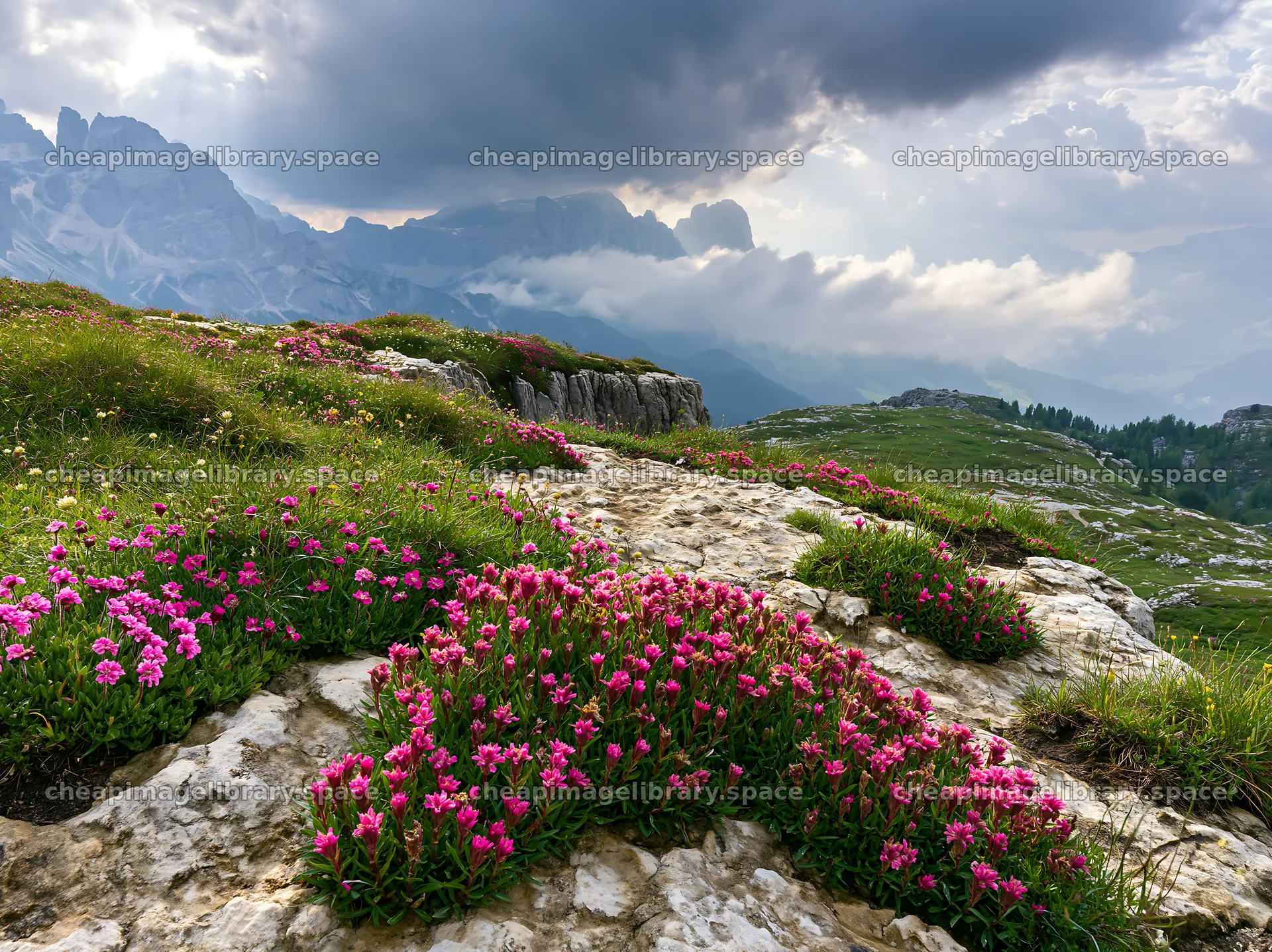 Clifftop meadow with flowers and mountains in the background – image library 9174x6866