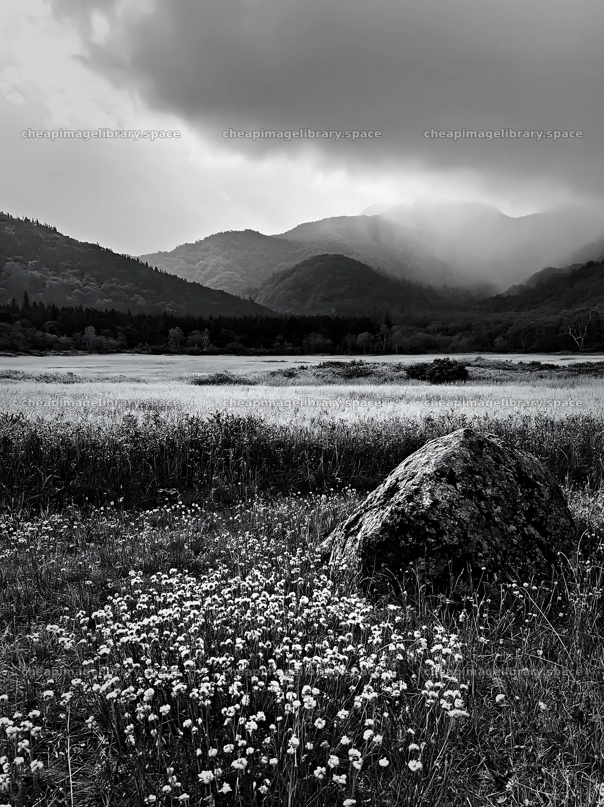 Aomori climate resilient meadow with boulder – image library 6866x9174