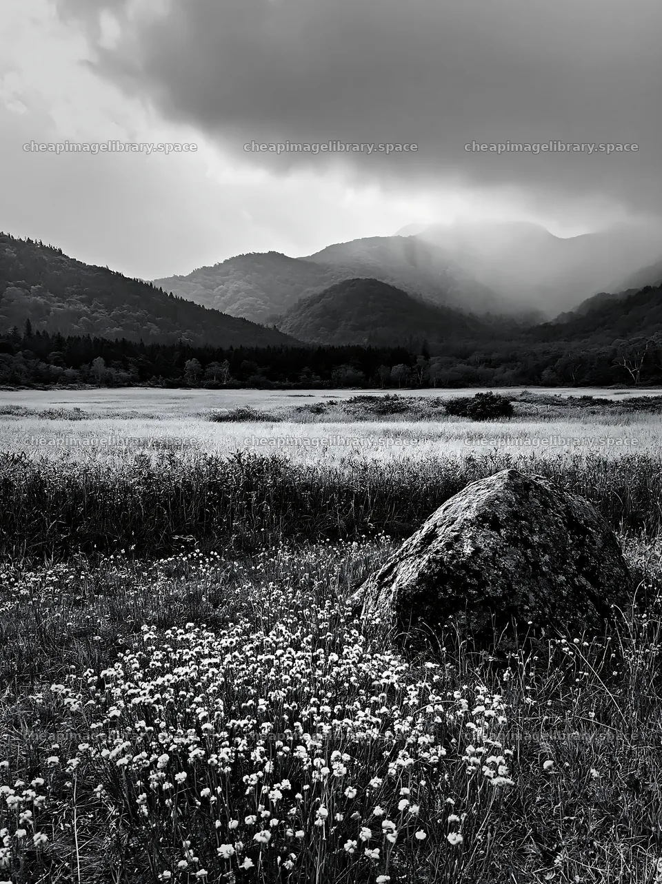 Aomori climate resilient meadow with boulder – image library 6866x9174