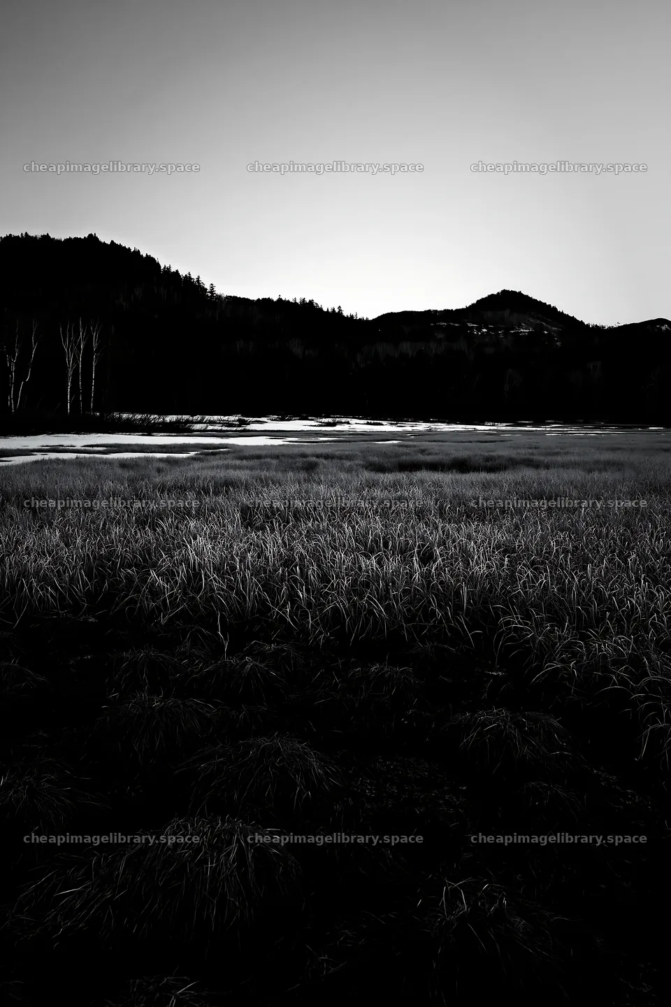 Akita snowmelt meadow with silver grasses – image library 6480x9722