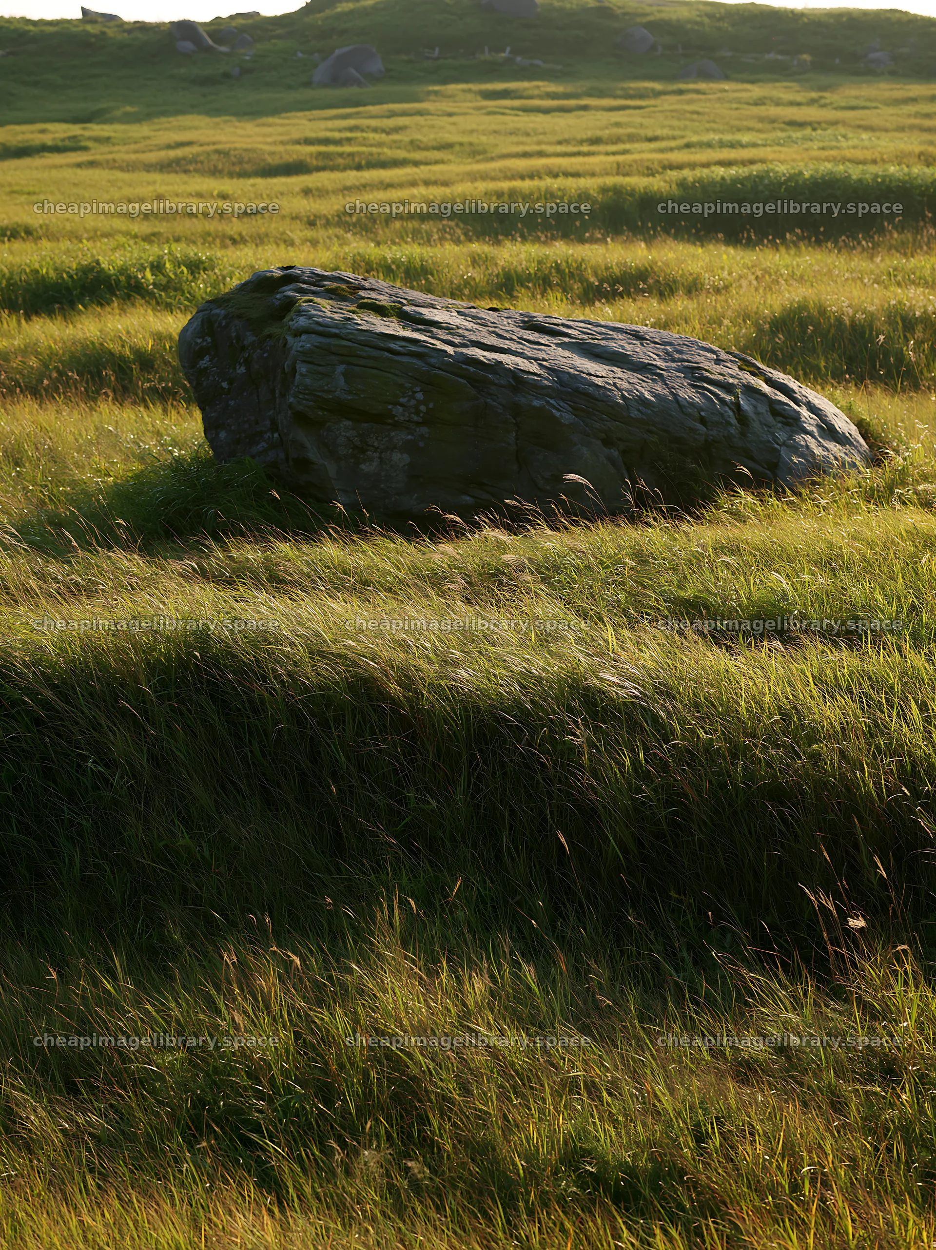 Aomori climate resilient meadow with boulder – image library 6866x9174