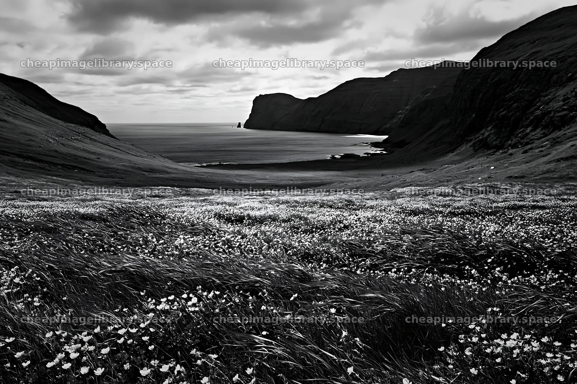 Meadow in a rolling valley with coastal cliffs and ocean view – image library 9722x6480
