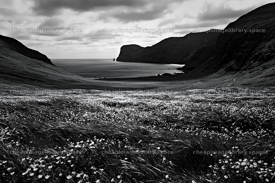 Meadow in a rolling valley with coastal cliffs and ocean view – image library 9722x6480