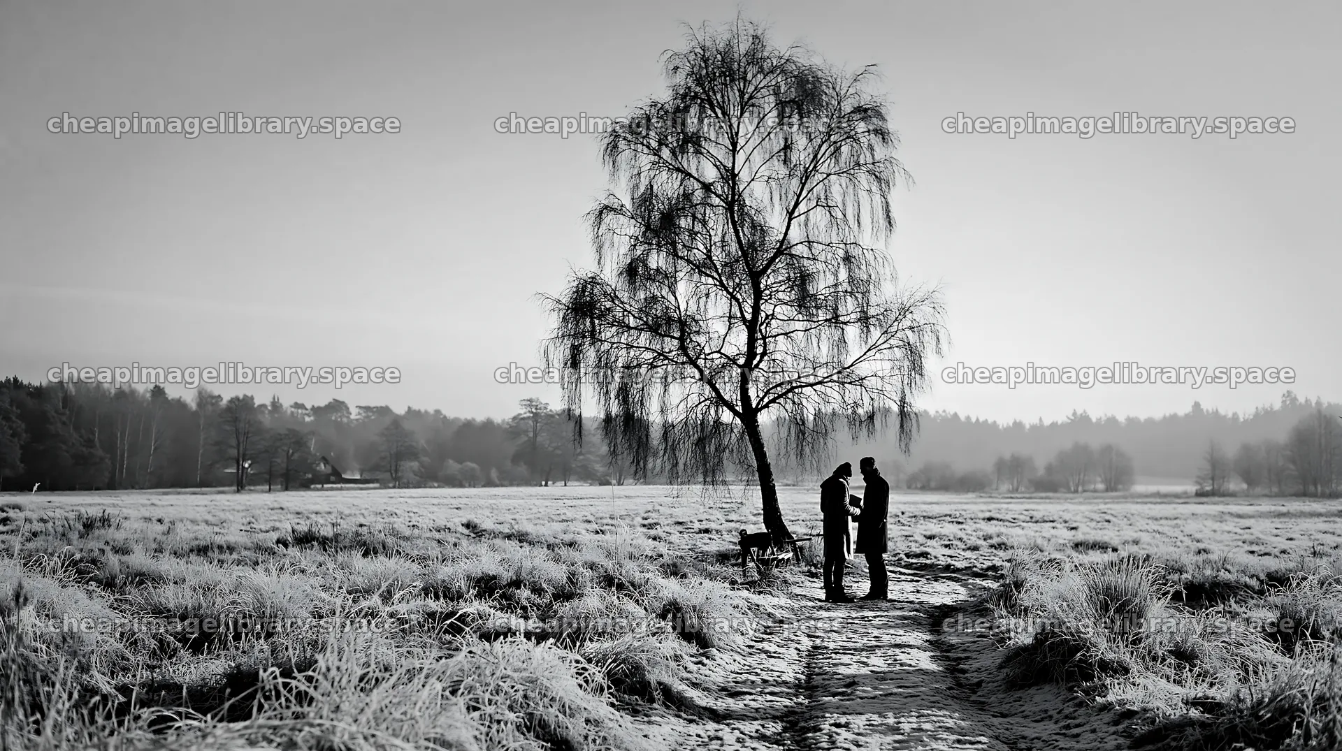 Winter meadow with couple standing near a tree at twilight – image library 10608x5938