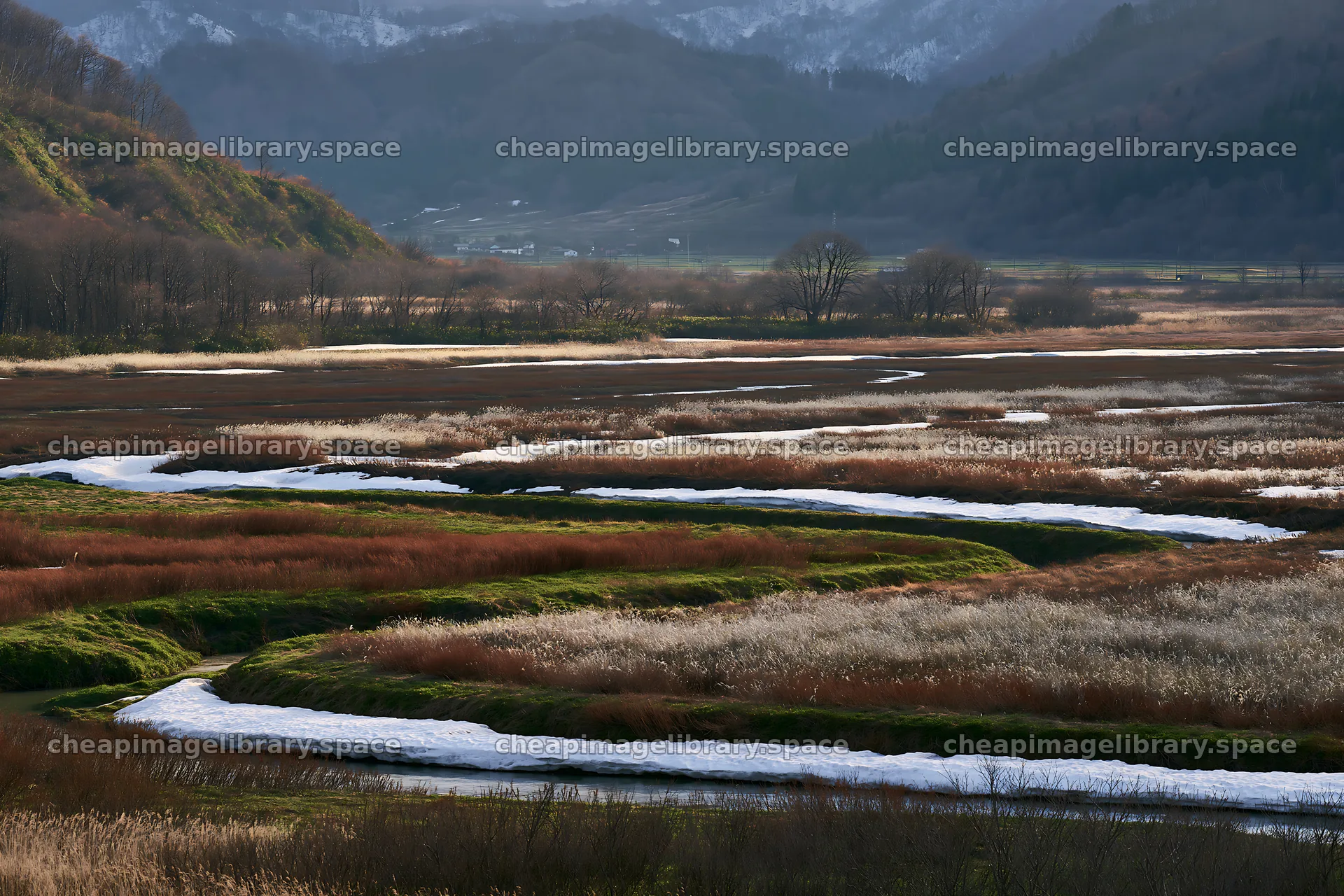 Akita snowmelt meadow with silver grasses in serene landscape – image library 9722x6480