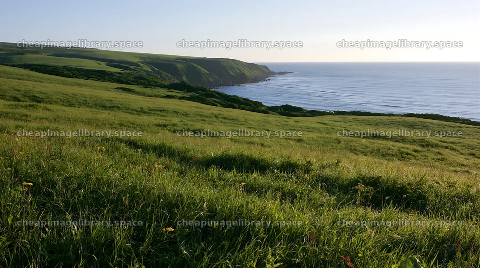 Expansive Hokkaido restoration meadow with dewdrops – image library 10608x5938