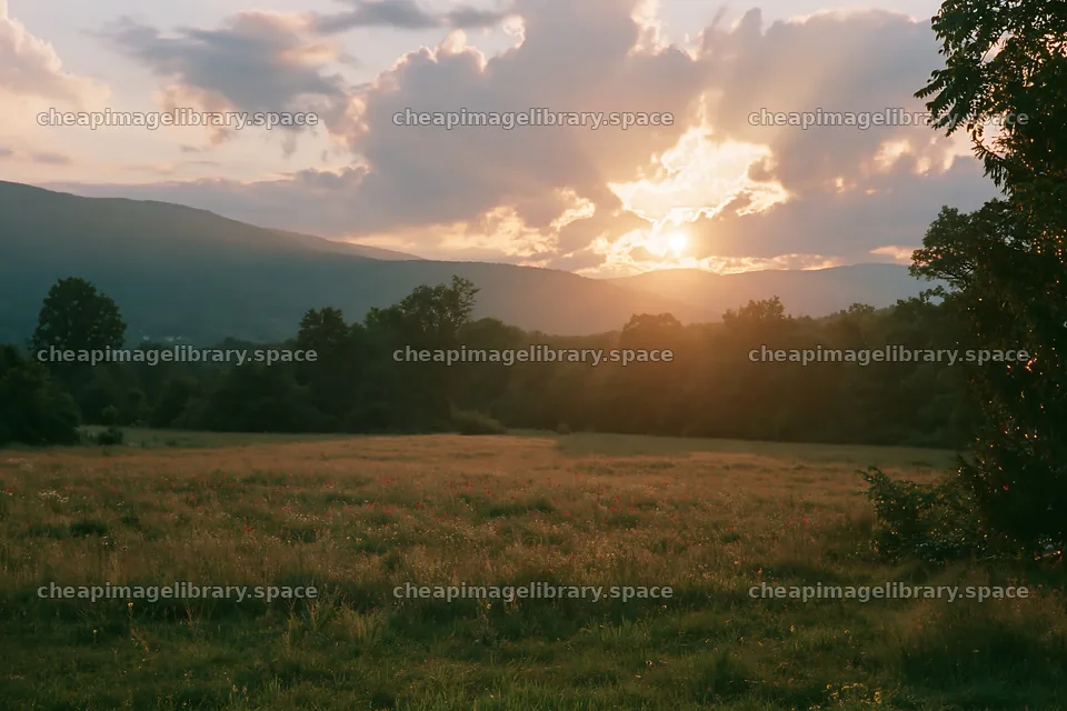 Christmas wreaths in meadow landscape with clouds and sunlight – image library 9722x6480