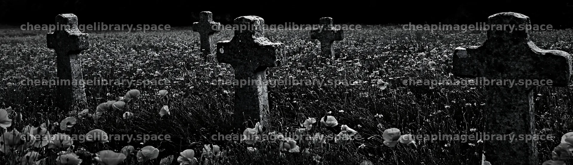 Four Christian crosses in meadow background – image library 14762x4268