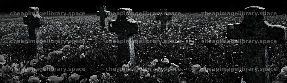 Four Christian crosses in meadow background – image library 14762x4268