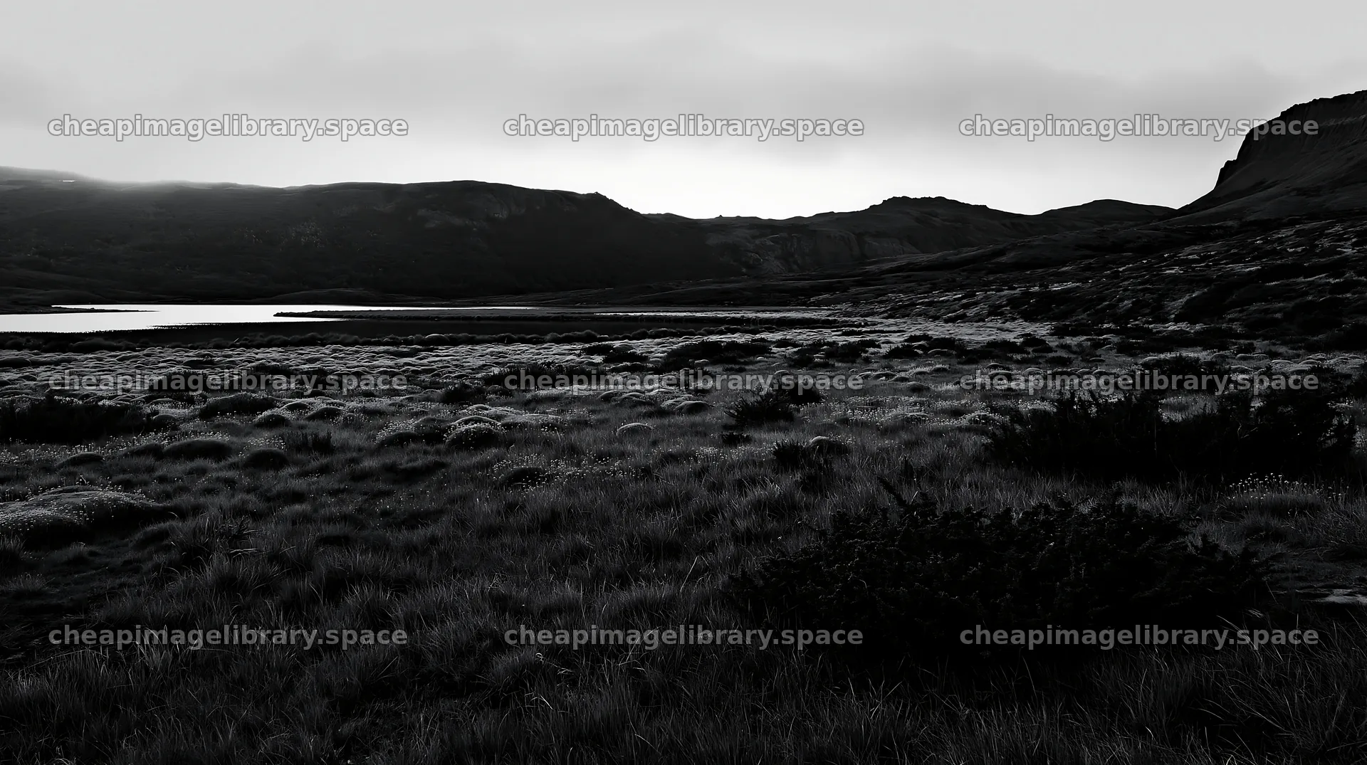 Regenerative meadow landscape in black and white – image library 10608x5938
