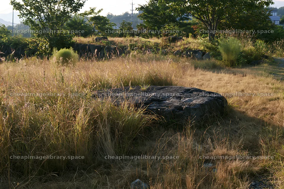 Aomori climate resilient meadow with boulder – image library 9722x6480