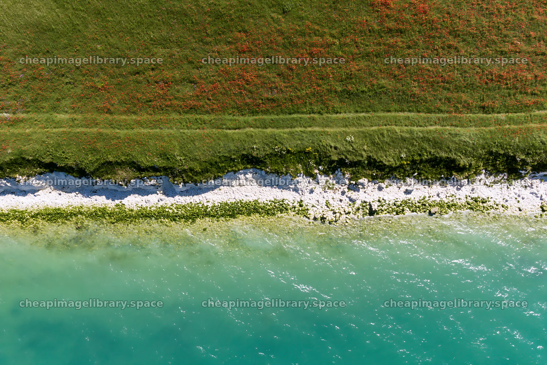 Clifftop meadow overlooking a shoreline with clear blue water – image library 9722x6480