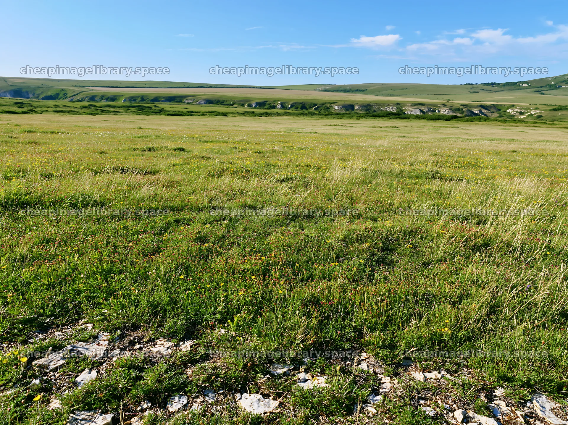 Sunny chalk wildflower meadow during a clear day – image library 9174x6866