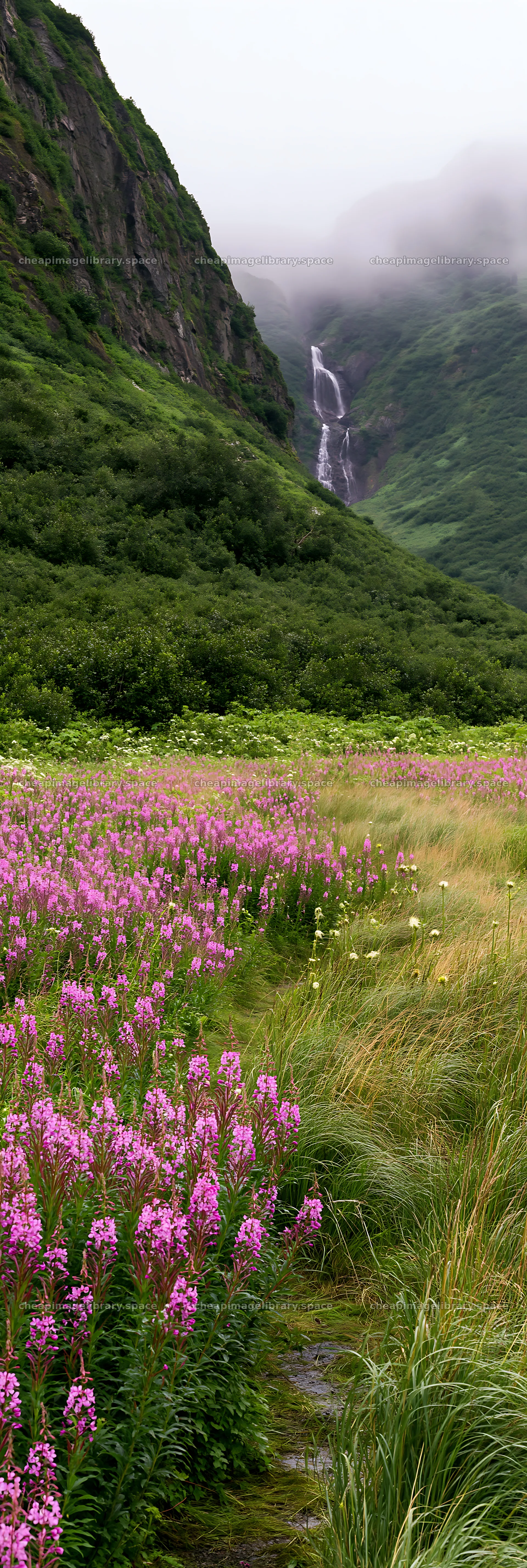 Meadow under waterfall with blooming flowers in a green landscape – image library 4602x13690