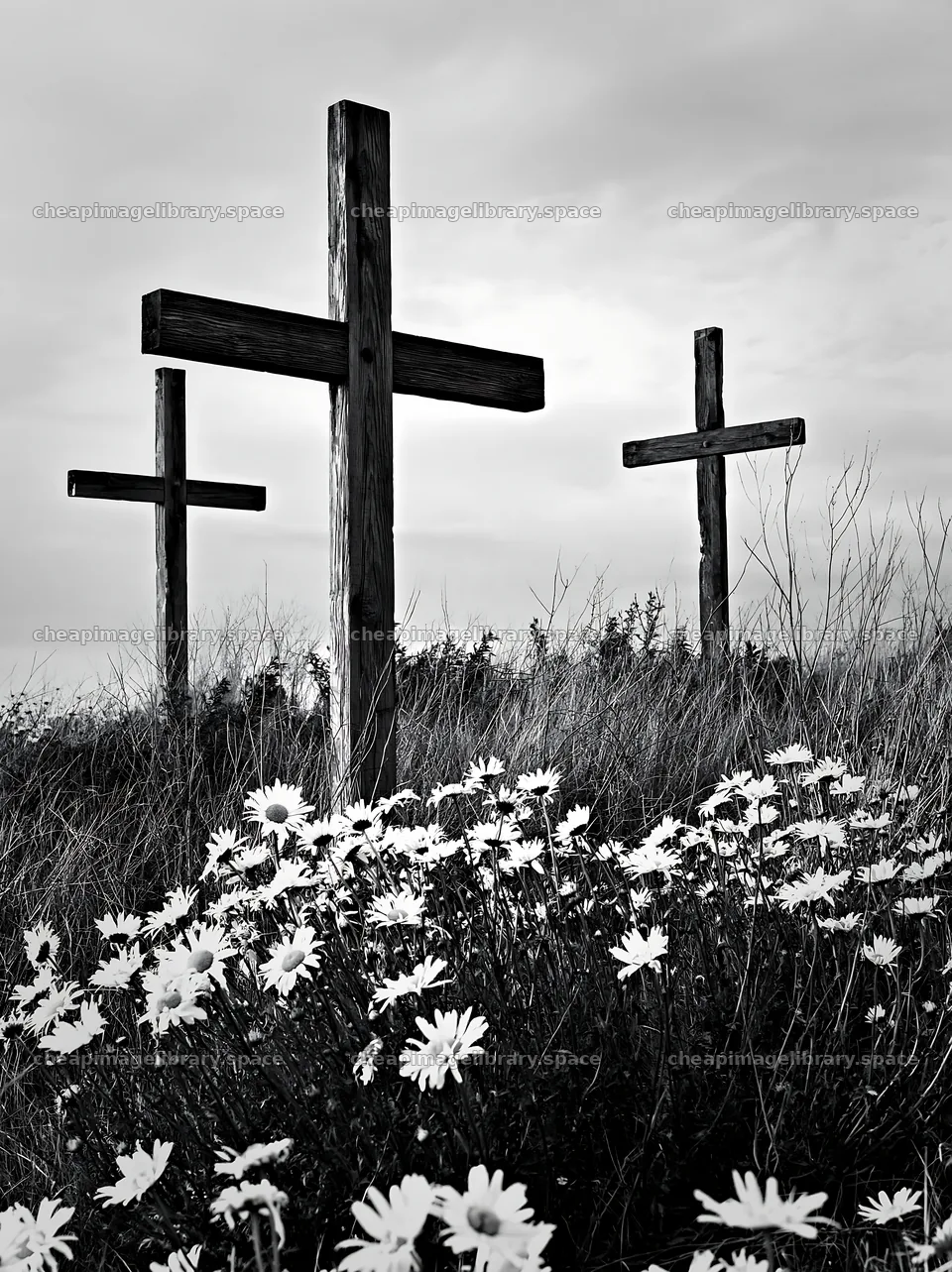 Three Christian crosses in a meadow with flowers – image library 6866x9174