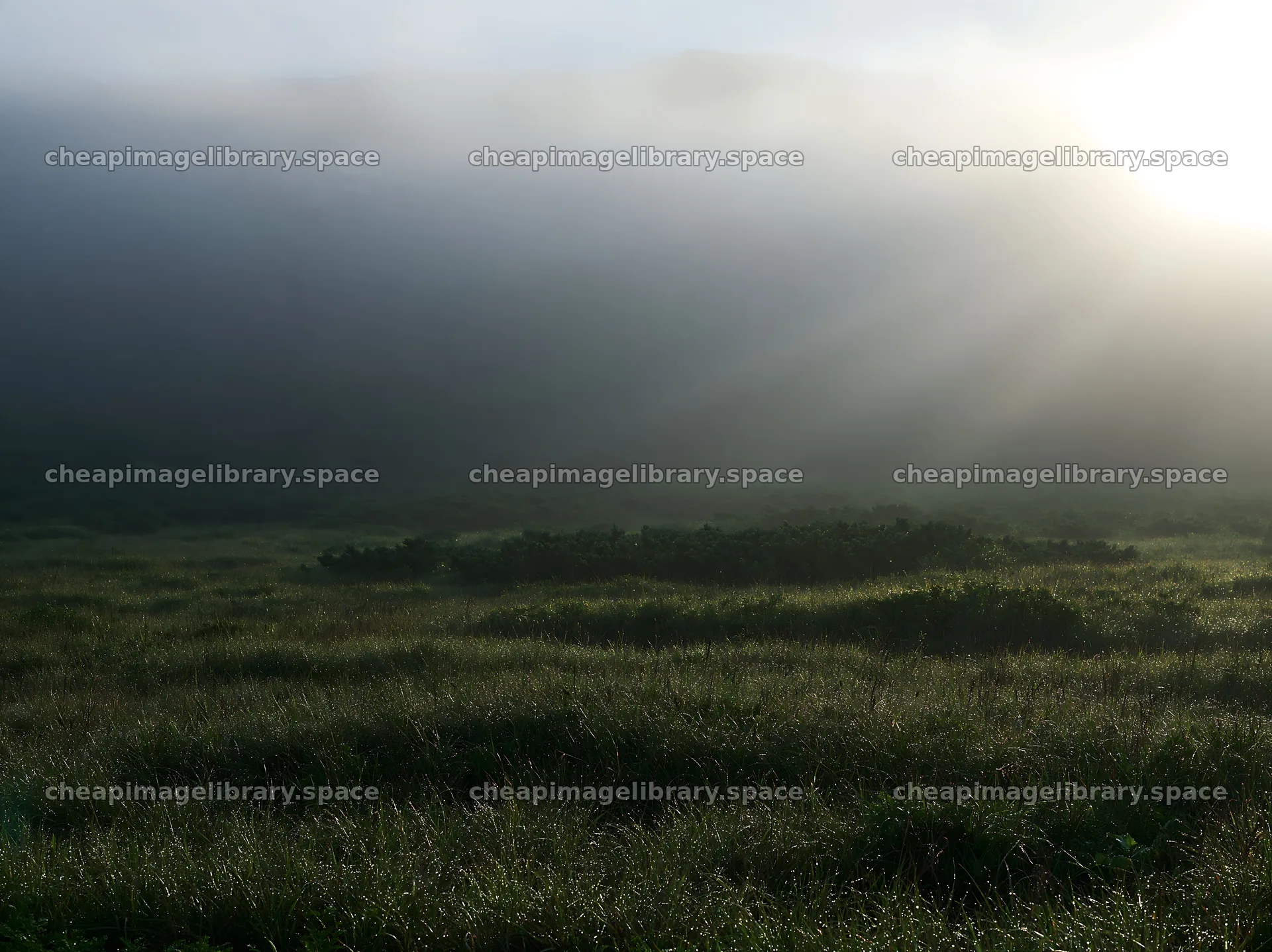 Daisetsuzan alpine meadow with light rays shining through fog – image library 9174x6866