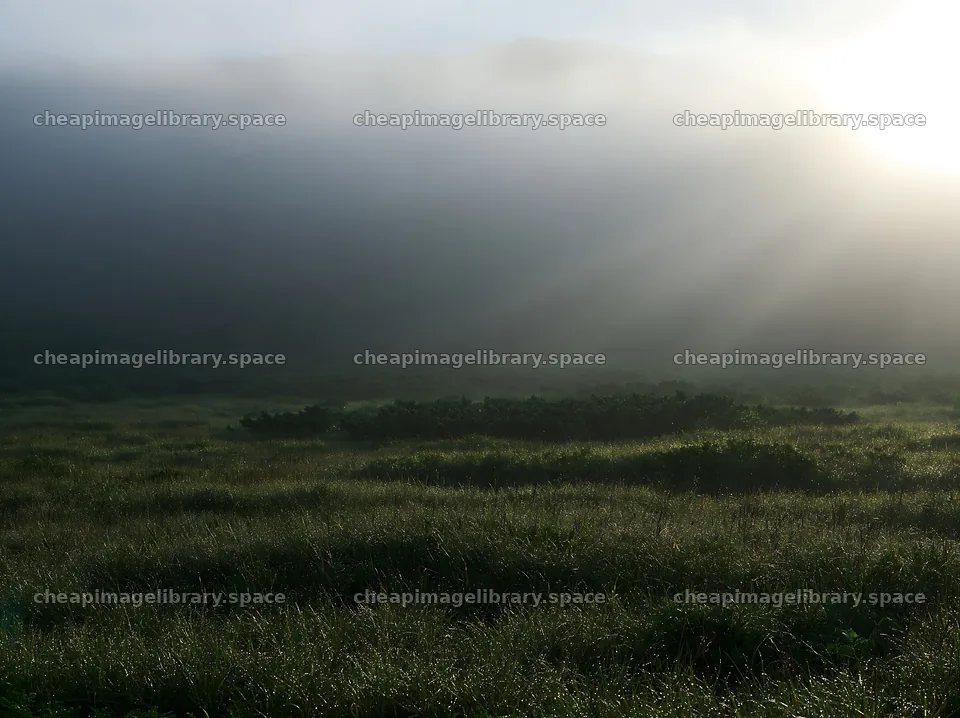 Daisetsuzan alpine meadow with light rays shining through fog – image library 9174x6866
