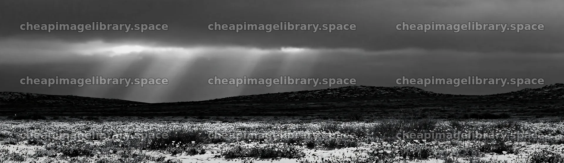 Crepuscular rays shining over a meadow landscape – image library 14762x4268