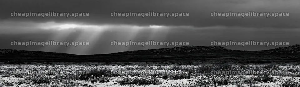 Crepuscular rays shining over a meadow landscape – image library 14762x4268