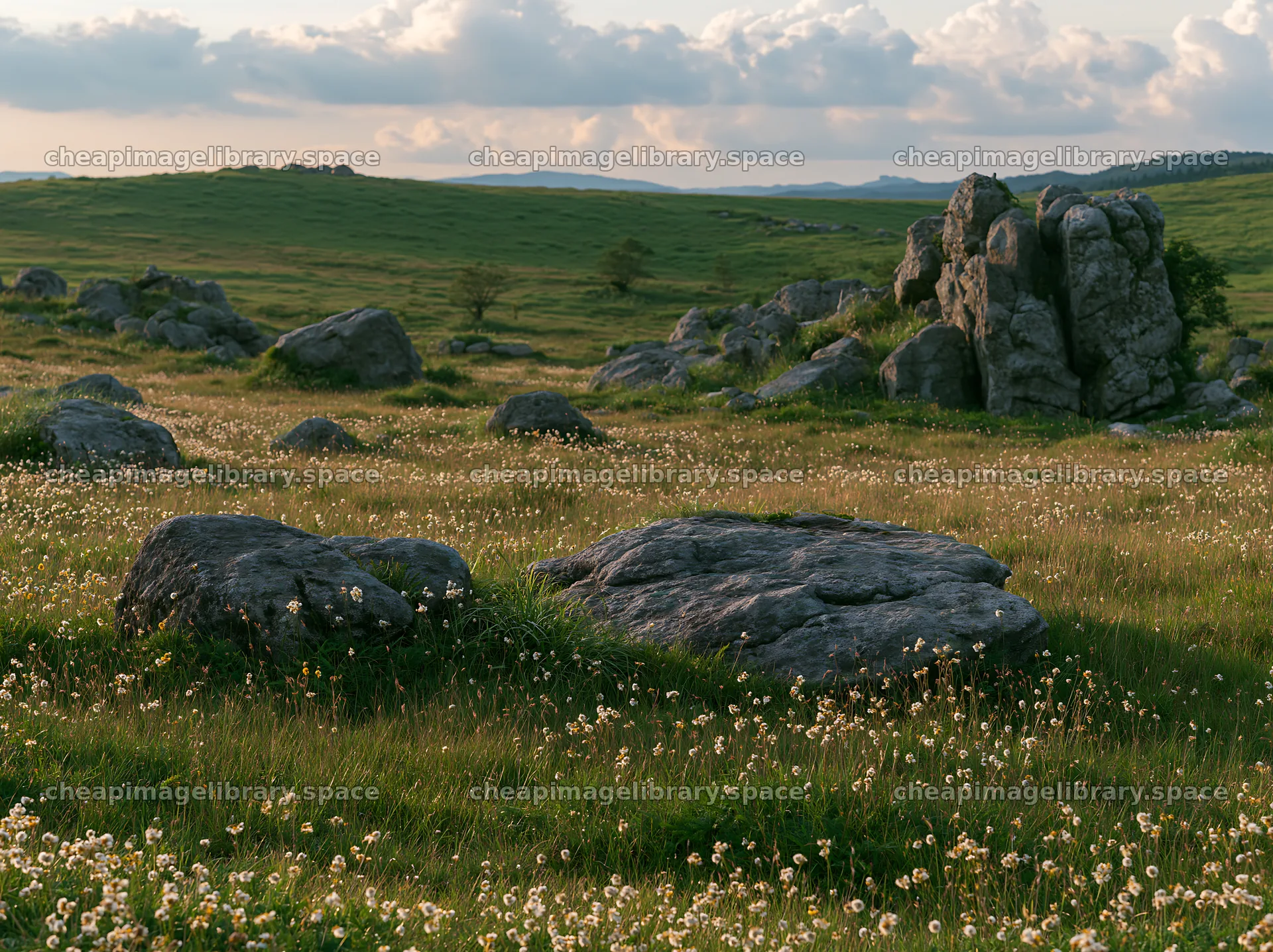 Oita highland meadow with granite stones and wildflowers – image library 9174x6866