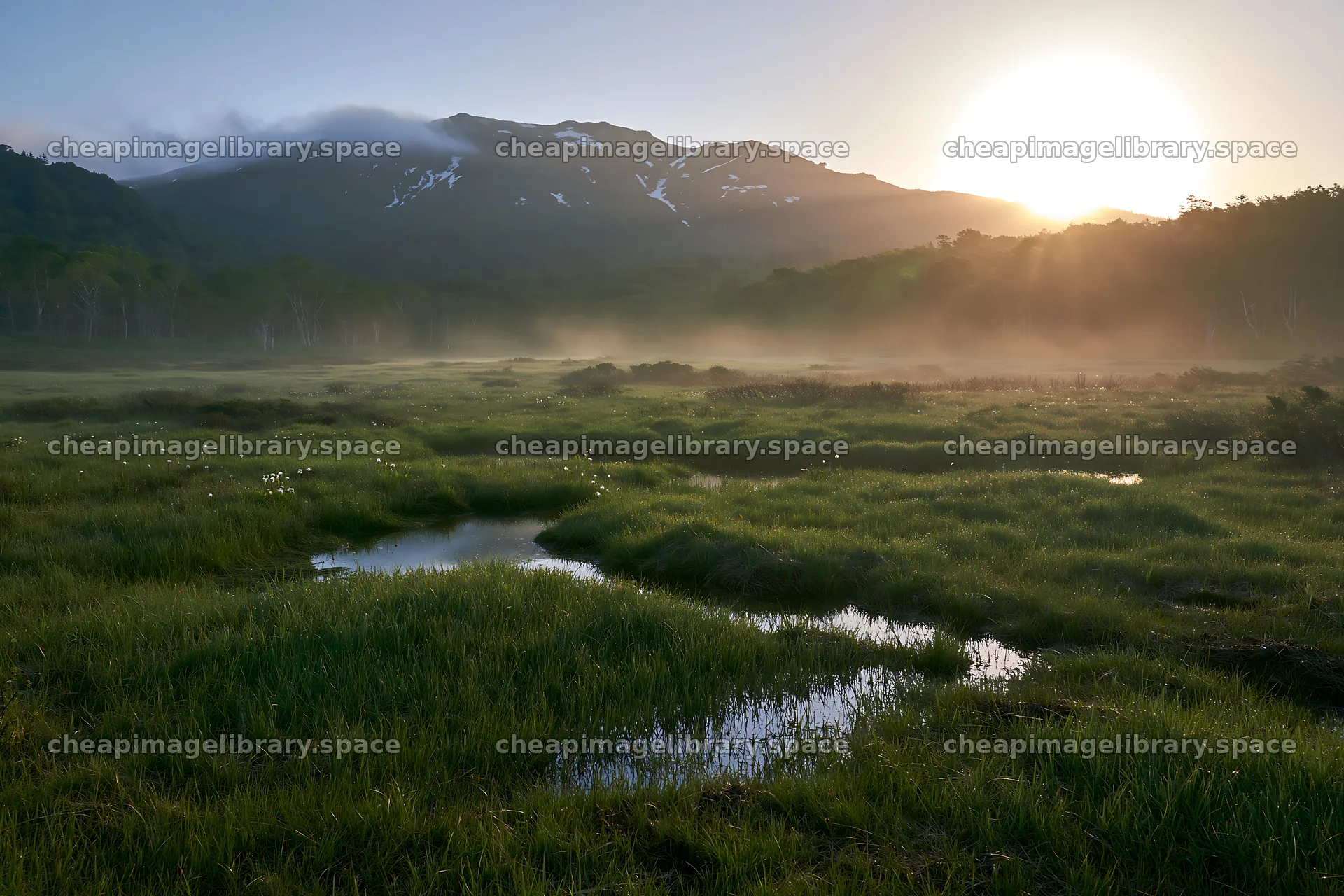 Expansive Hokkaido restoration meadow with dewdrops – image library 9722x6480