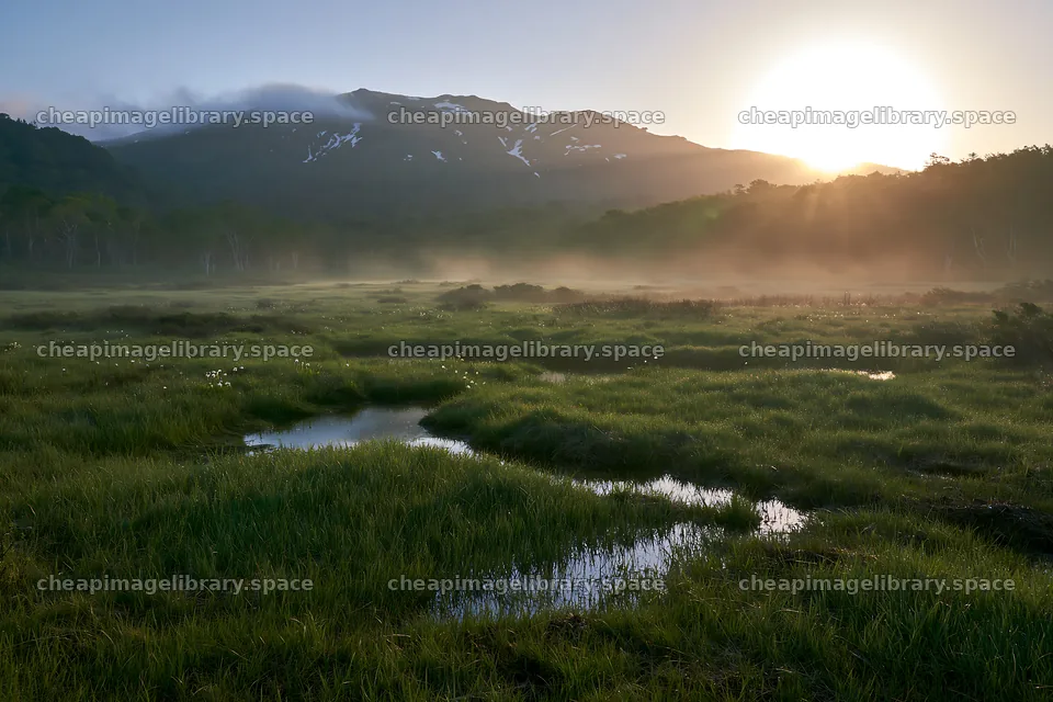 Expansive Hokkaido restoration meadow with dewdrops – image library 9722x6480