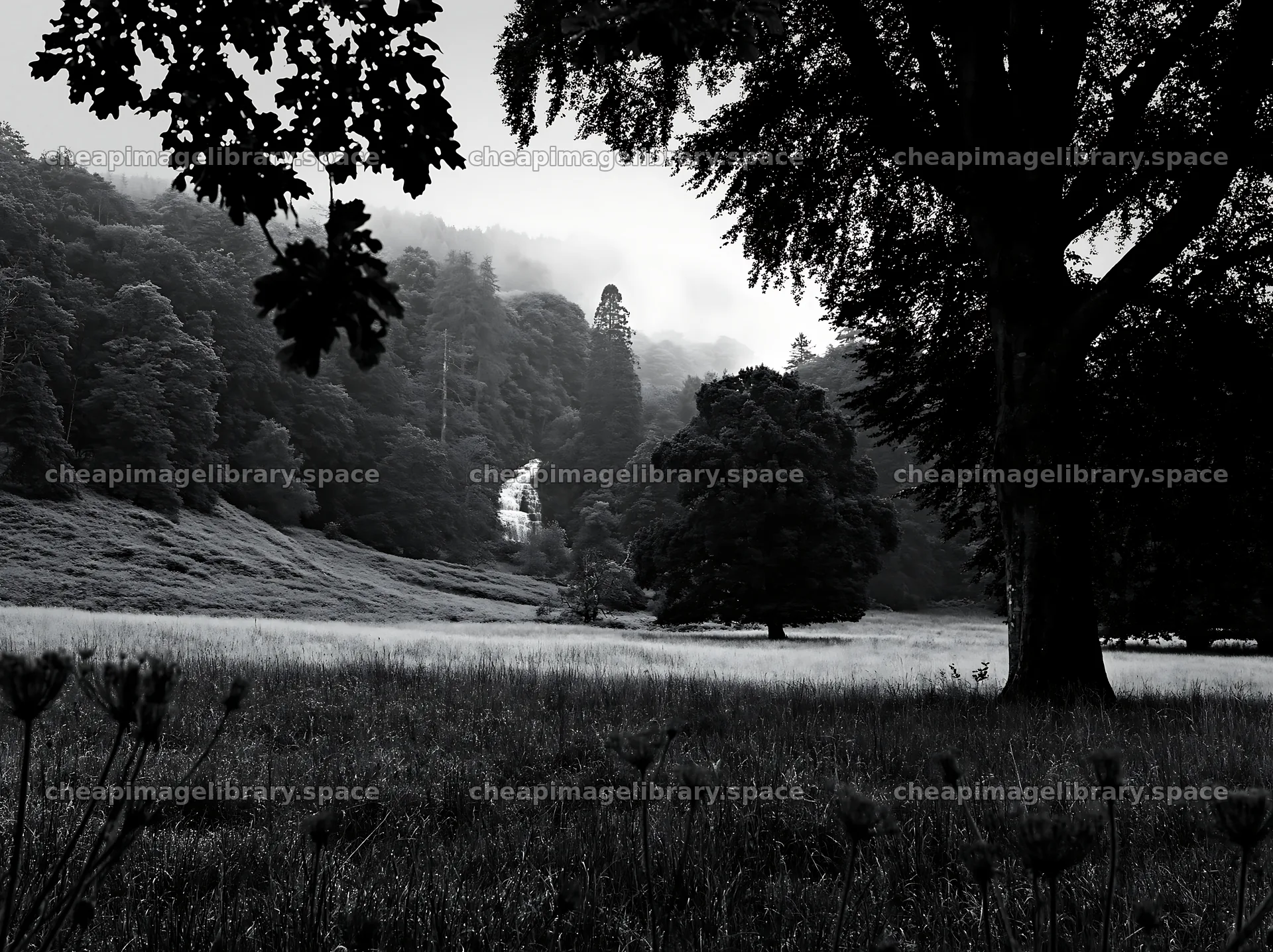 Meadow with visible cascade in black and white – image library 9174x6866