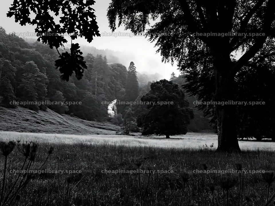 Meadow with visible cascade in black and white – image library 9174x6866