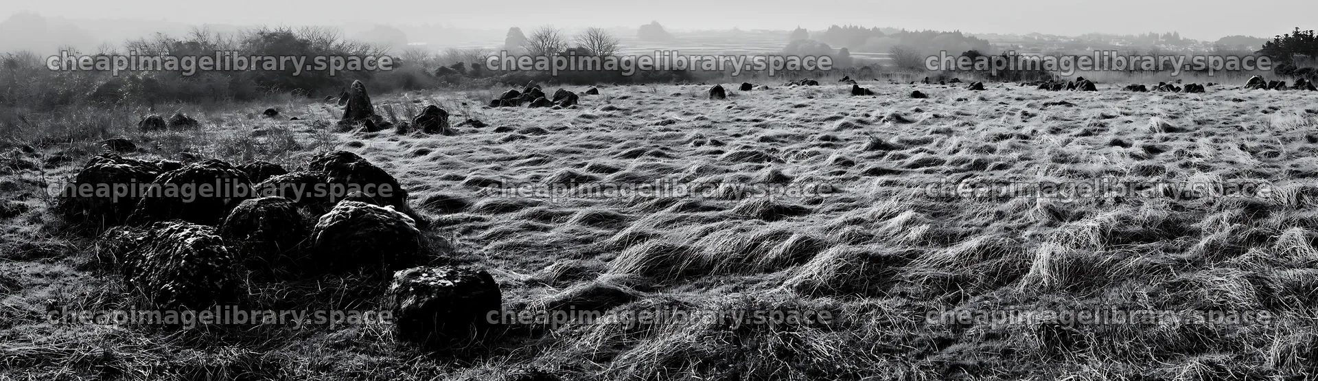 Miyagi spring recovery meadow mossy stone – image library 14762x4268
