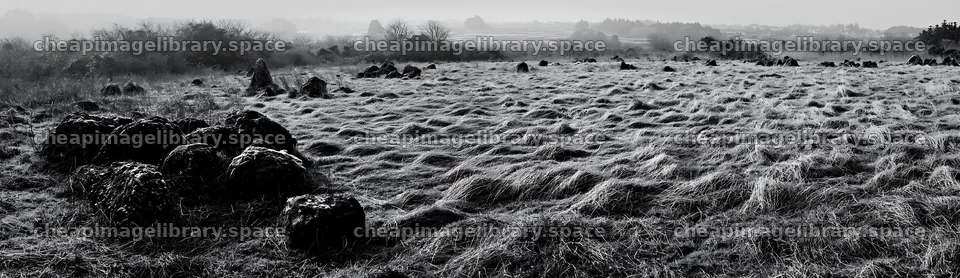 Miyagi spring recovery meadow mossy stone – image library 14762x4268