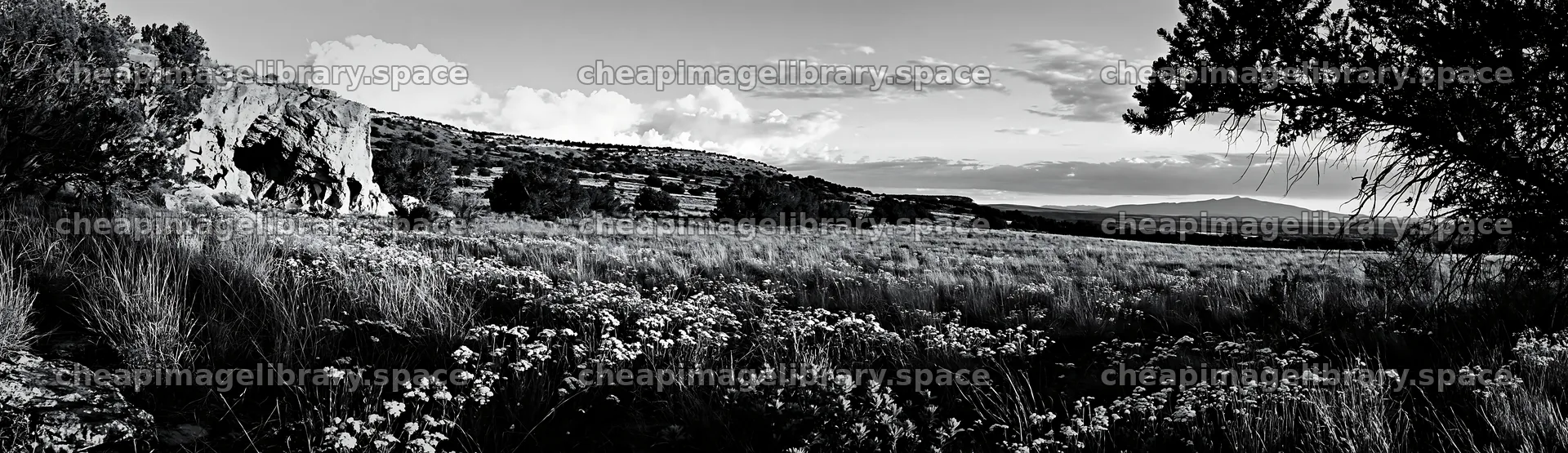 Christmas ornaments near cave in meadow landscape – image library 14762x4268