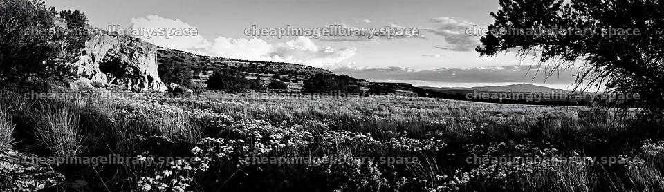 Christmas ornaments near cave in meadow landscape – image library 14762x4268