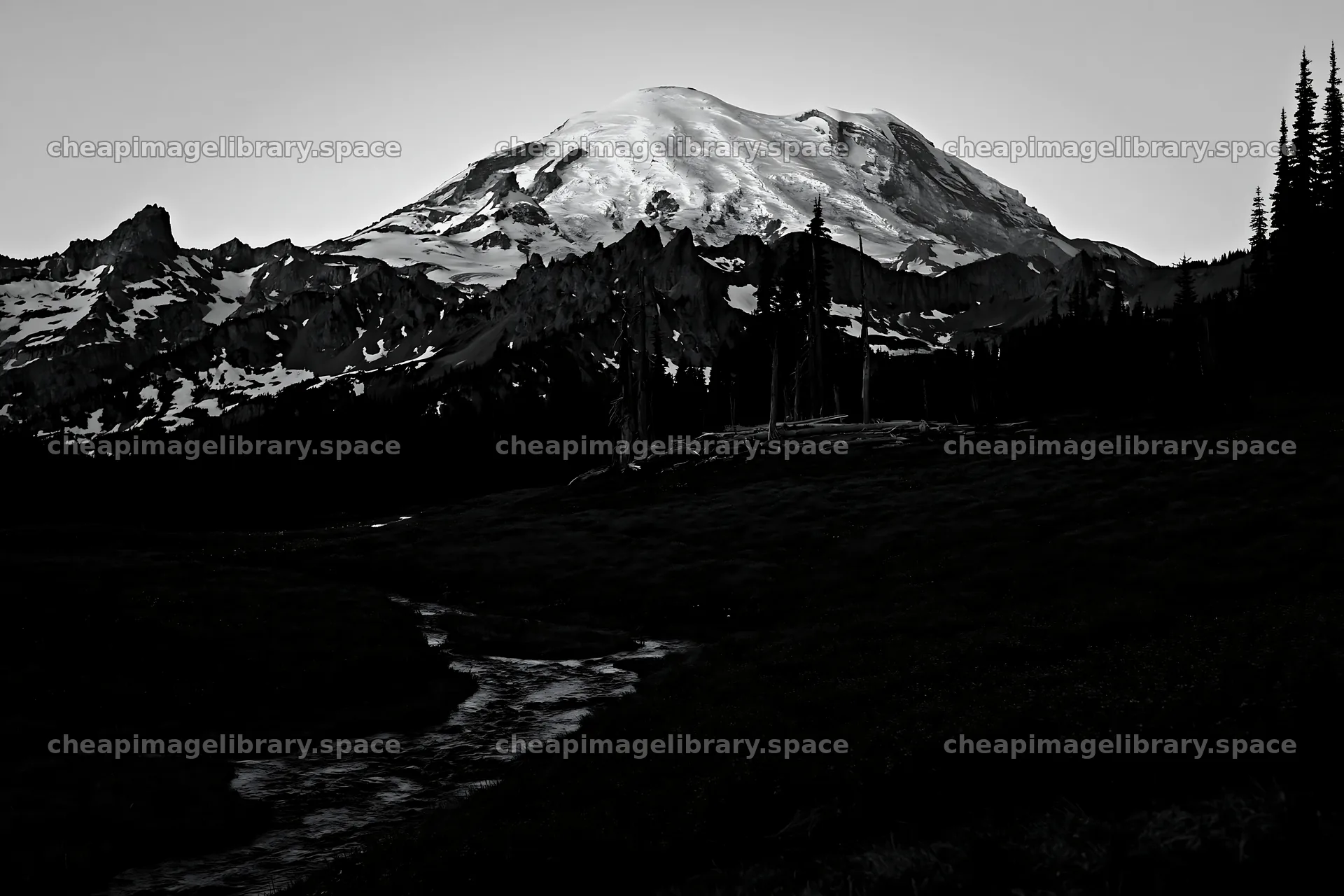 Mount Rainier wildflower meadow at sunrise – image library 9722x6480