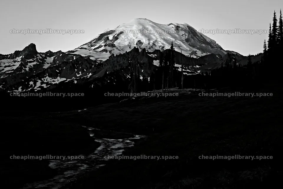 Mount Rainier wildflower meadow at sunrise – image library 9722x6480