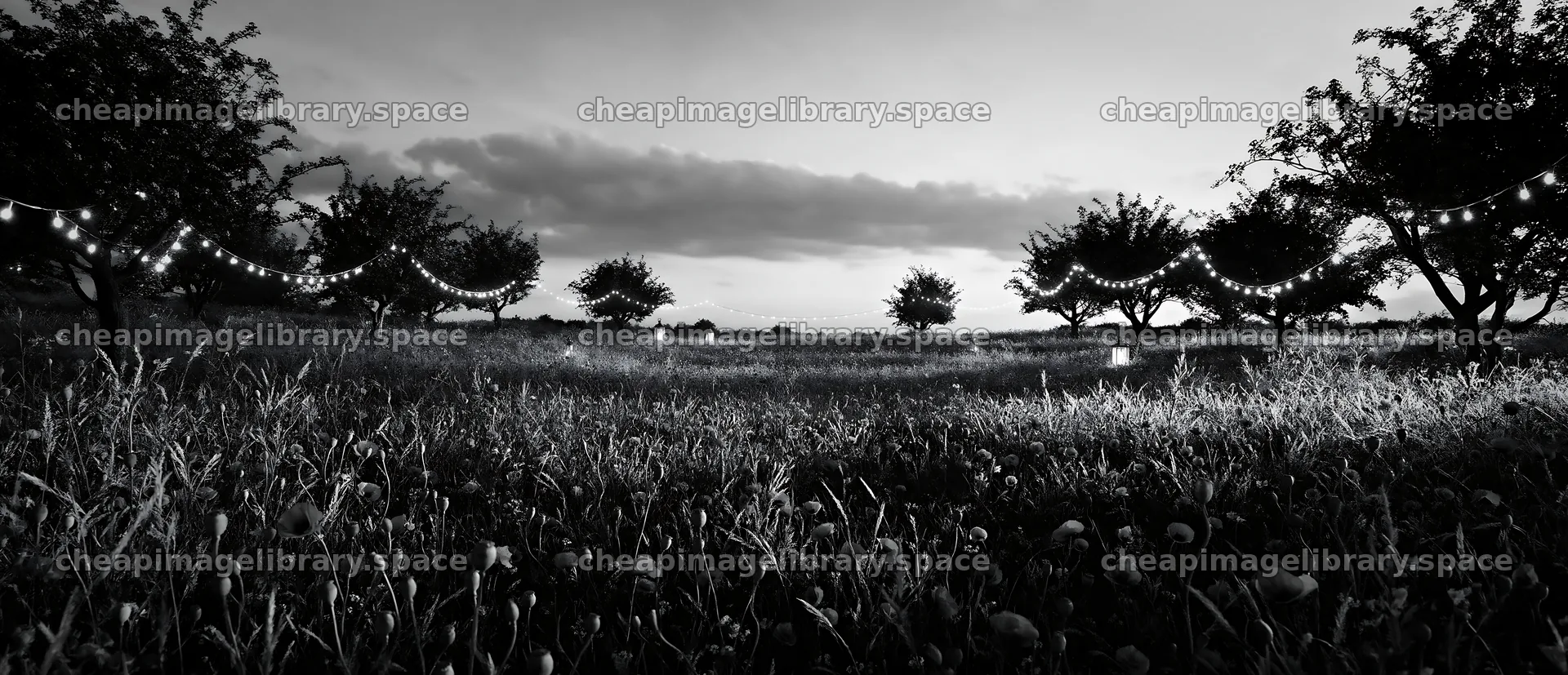 Vibrant Christmas lights glow at dusk in a meadow – image library 12094x5210