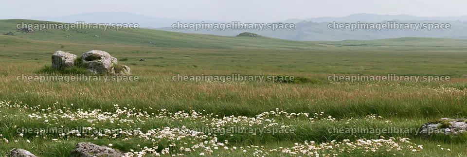 Yamaguchi limestone meadow with pale boulder in natural setting – image library 13690x4602