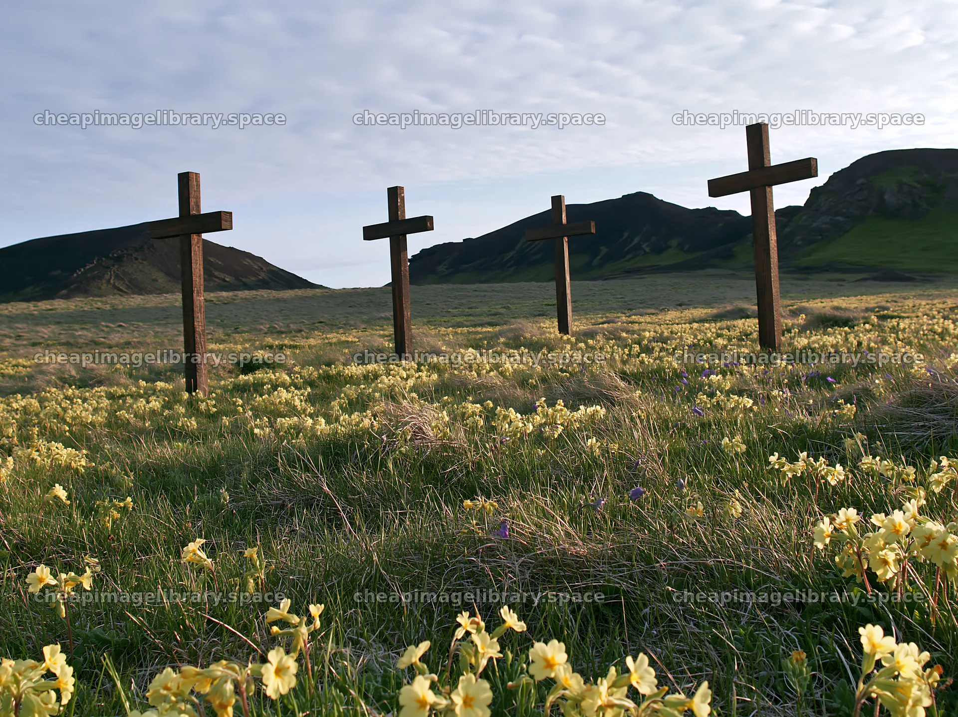 Wooden crosses in meadow with flowers under cloudy sky – image library 9174x6866