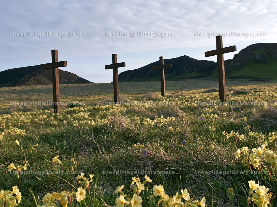 Wooden crosses in meadow with flowers under cloudy sky – image library 9174x6866