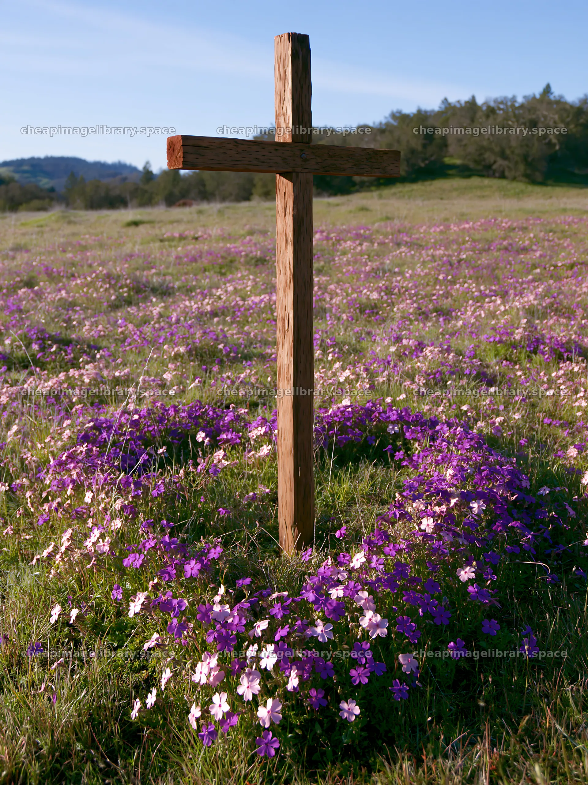 Wooden Christian cross in meadow surrounded by flowers – image library 6866x9174