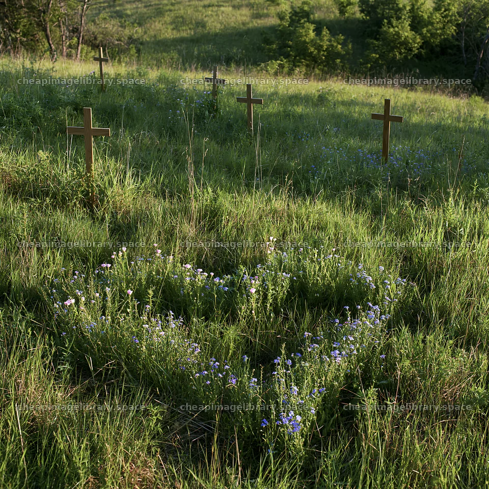 Christian crosses in a meadow with wildflowers and greenery – image library 7938x7938