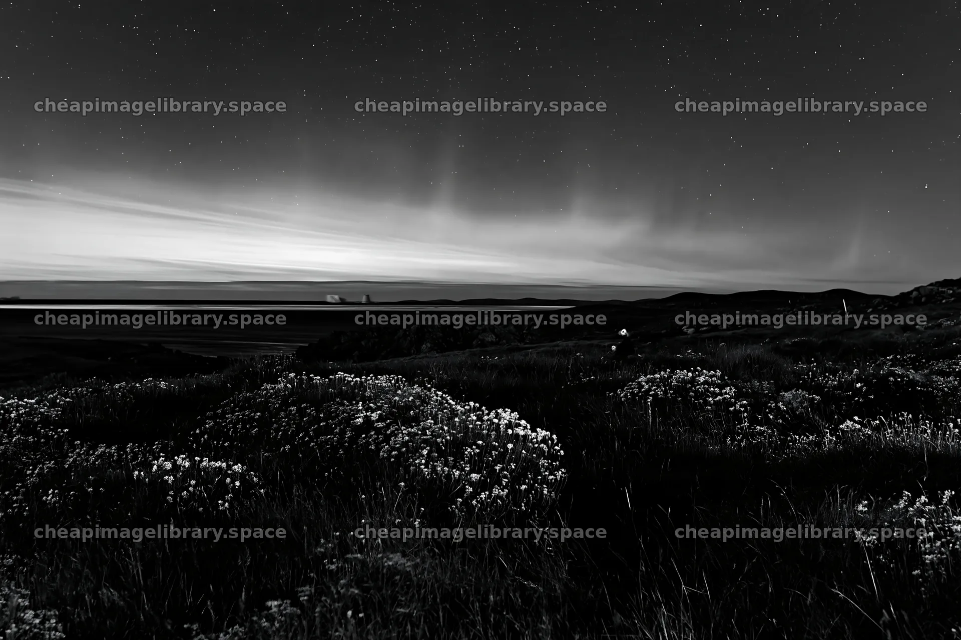 Aurora lights over meadow and coast during night sky – image library 9722x6480