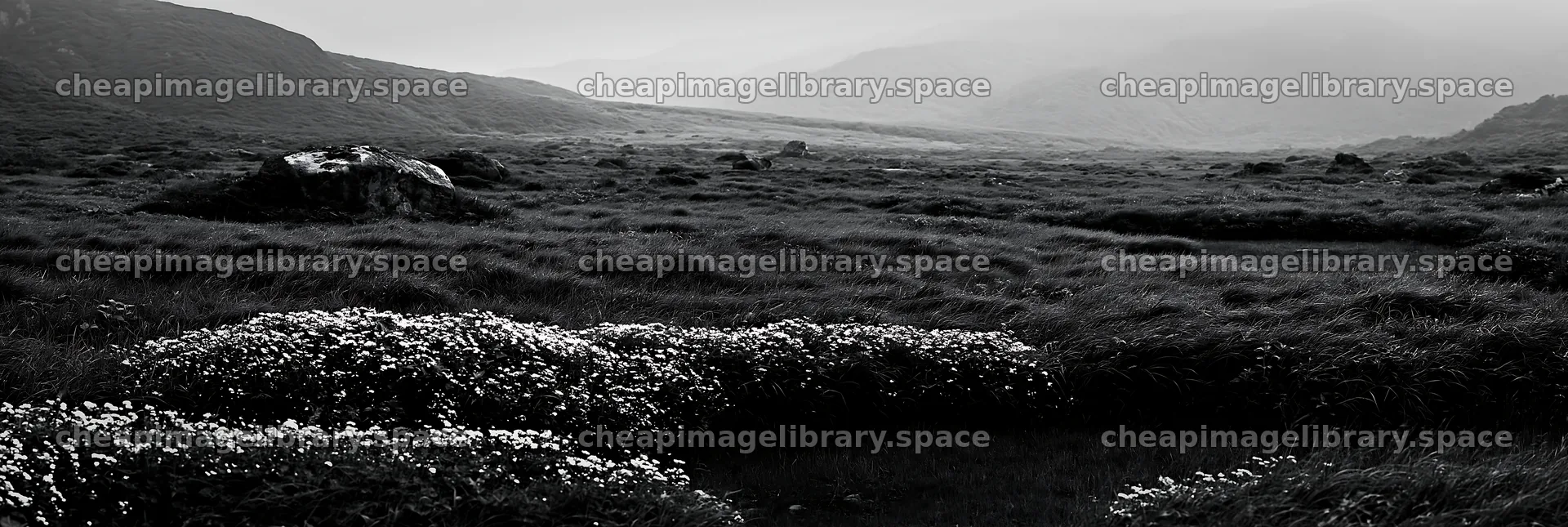 Yamaguchi limestone meadow with pale boulder and wild flowers – image library 13690x4602