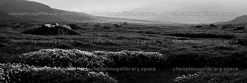 Yamaguchi limestone meadow with pale boulder and wild flowers – image library 13690x4602