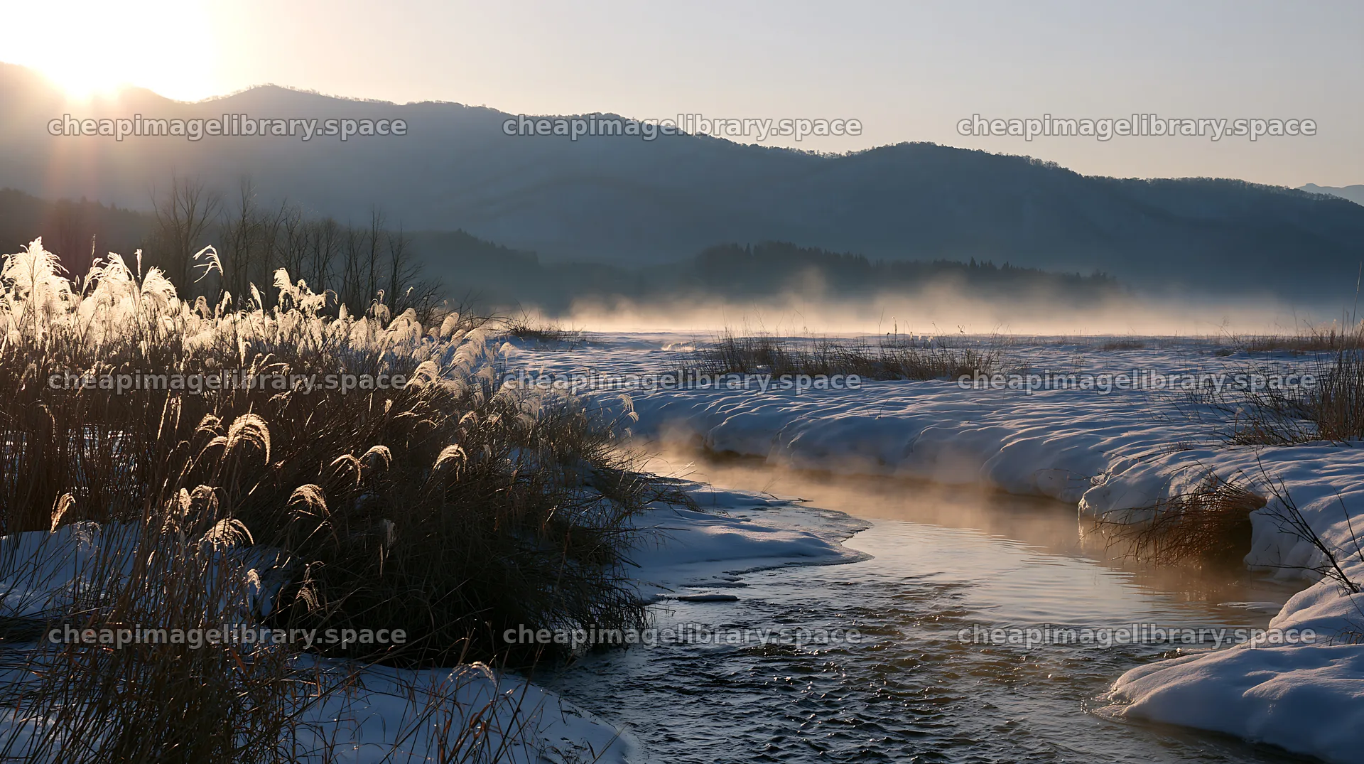 Akita snowmelt meadow with silver grasses at sunrise – image library 10608x5938